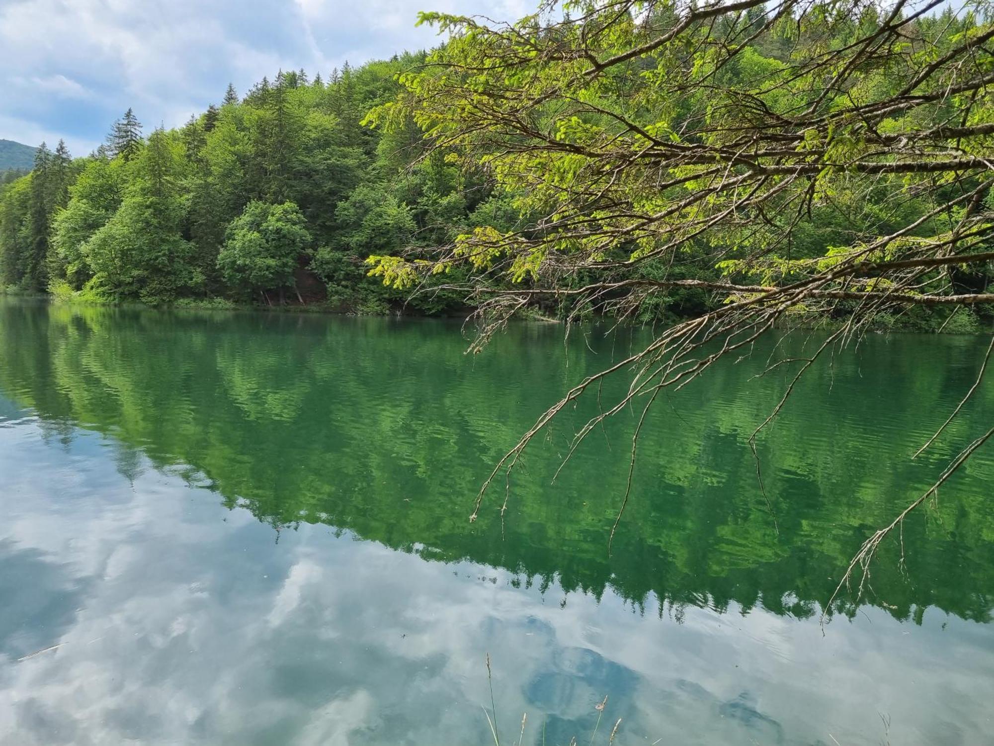 Villa Lady Di Plitvice Vrhovine Buitenkant foto