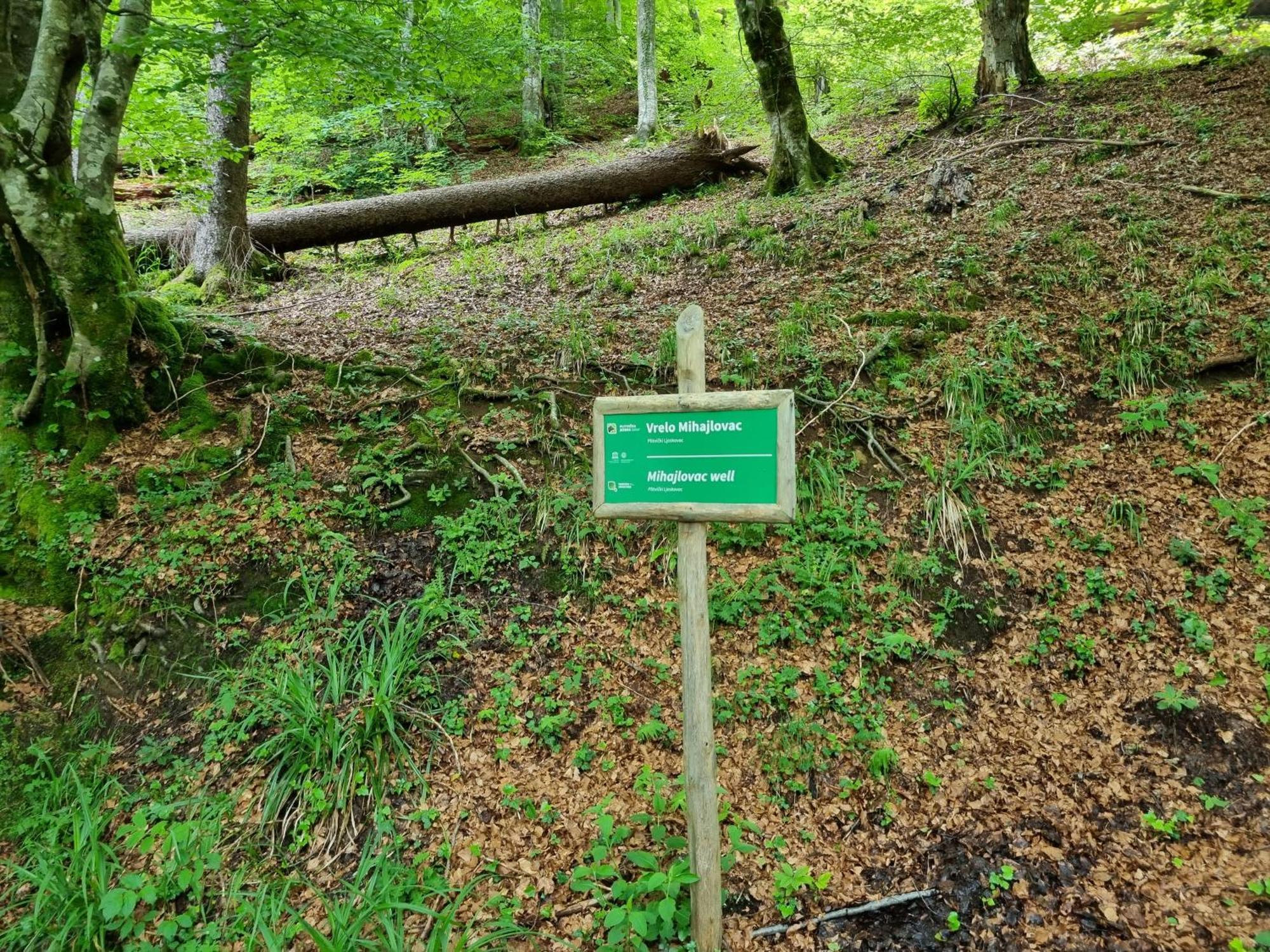 Villa Lady Di Plitvice Vrhovine Buitenkant foto